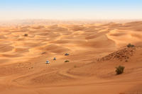 Safari i Dubai-ørkenen på firehjulstrekker med ATV-kjøring, kameltur, grillmåltid og magedans Safari i Dubai-ørkenen på firehjulstrekker med ATV-kjøring, kameltur, grillmåltid og magedans