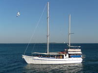 Darwin Sunset Dinner Cruise Aboard a Traditional Ketch