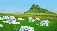 6-Day Fully Guided Tour of Kwa-Zulu Natal Battlefields and Hluhluwe Safari from Johannesburg