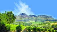 Cape Winelands Guided Day Tour from Cape Town