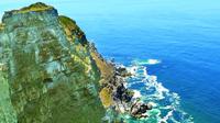 Half Day Cape Point Tour from Cape Town