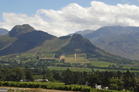 Visite privée: excursion d'Une journée au Cap occidental et sur la route des vins de Swartland, Riebeek Kasteel Incluant, au départ du Cap