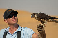 Private Tour: Falconry Experience and Wildlife Tour in Dubai with Optional Breakfast