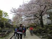 Tokyo by Bike: Skytree, Kiyosumi Garden and Sumo Stadium