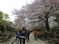 Tokyo en vélo: Skytree, jardin de Kiyosumi et Stade de Sumo