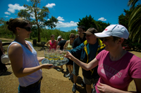Tour de dégustation de vins et Spécialités culinaires sur l'île de Waiheke au départ d'Auckland