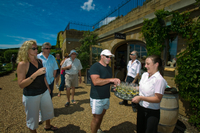 Tour de dégustation de vins sur l'île de Waiheke au départ d'Auckland