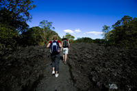 Tour de l'île de Rangitoto au départ d'Auckland