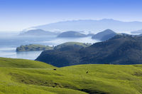 Billet de ferry de verser Coromandel au départ d'Auckland