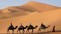 3-Day Sahara Desert Tour from Marrakech: Ouarzazate, Mhamid Desert and Erfoud