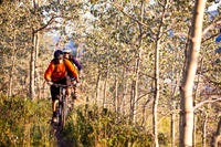 Guidée VTT Aventure de Whitehorse