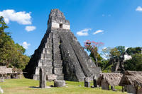 Tikal Day Trip from San Ignacio