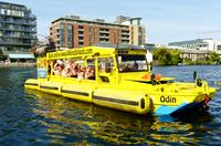 Dublin Viking Duck Tour