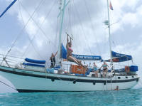 St Maarten Shore Excursion: Sailing Tour with Snorkeling and Paddleboarding