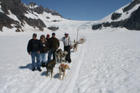 Tour en hélicoptère et en traîneau expérience Ë chiens Ë Juneau