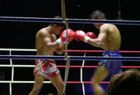 Match de kicboxing Muay Thai endroit with anneau de côté et transfert privé