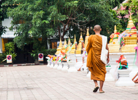 Visite D'une matinée Dans les temples Bouddhistes with cérémonie de l'aumône à Chiang Mai