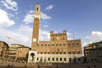 Siena Walking Tour with Contrada Museum and Ice Cream Tasting