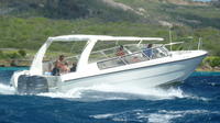 Blue Room and Beach Tour of Curacao by Speedboat 