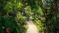 Ahhh Ras Natango Gallery and Garden Tour from Montego Bay