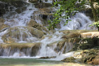 Excursión a las cascadas Mayfield en Jamaica Excursión a las cascadas Mayfield en Jamaica