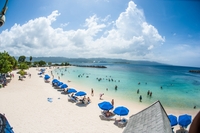 Parc à thème Aquasol with transfert aller-retour à Montego Bay
