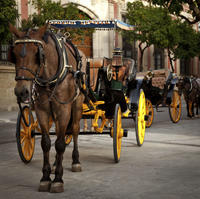 Paseo nocturno en coche de caballos por Cartagena con cena incluida Paseo nocturno en coche de caballos por Cartagena con cena incluida