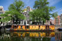 Excursion en bord de mer à Amsterdam: visite privée à pied des centres d'interest de la ville