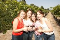 Santiago Super Saver: Concha y Toro plus Vina del Mar and Valparaiso Day Trip