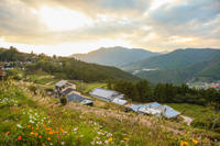 3-Day or 4-Day Self-Guided Hike on Kumano Kodo Pilgrimage Route Including Lodging and Transport