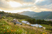 Randonnée des chemins de pèlerinage de Kumano Kodo with hébergement et transport de 3 ou 4 Guide sans de Jours