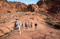 Excursión al Valle de Fuego desde Las Vegas Excursión al Valle de Fuego desde Las Vegas
