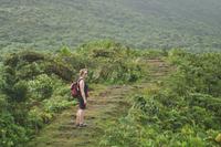 Morne Trois Pitons National Park Day Trip from Roseau