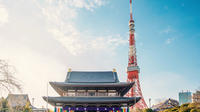 Tokyo Modern and Traditional Architecture Highlights by Minibus