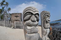 Private Tour: Big Island Photo Safari