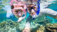 Curacao Shore Excursion: Snorkel Adventure