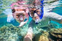 Excursión por la costa de Curazao: Aventura de buceo de superficie Excursión por la costa de Curazao: Aventura de buceo de superficie