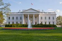 Visite guidée de la Maison Blanche et de National Mall à Washington DC