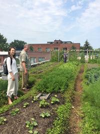 Recorrido en bicicleta por la agricultura urbana y los alimentos sostenibles en Montreal Recorrido en bicicleta por la agricultura urbana y los alimentos sostenibles en Montreal
