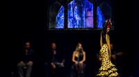 Théâtre de flamenco de Madrid Théâtre de flamenco de Madrid