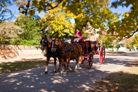 Visite de la ville coloniale de Williamsburg