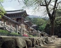 Excursión de 2 días para conocer el patrimonio de Silla de Gyeongju desde Seúl Excursión de 2 días para conocer el patrimonio de Silla de Gyeongju desde Seúl