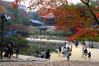 Morning Cultural Tour: UNESCO World Heritage Sites in Seoul