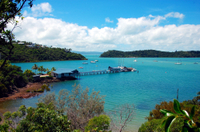 Navette de départ Partagée: des Hôtels Airlie Beach d'UO de Shute Harbour vers l'aéroport de Proserpine