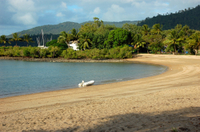 Navette Partagée à l'arrivée: vers de l'aéroport Proserpine Les Hôtels Airlie Beach d'UO de Shute Harbour