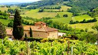Tour van Florence naar Greve in Chianti met wijnproeverij Tour van Florence naar Greve in Chianti met wijnproeverij