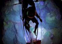 2-Day Moreton Island Tour de Brisbane ou Gold Coast avec option Nighttime Kayak