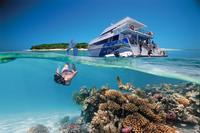 3-Day Southern Great Barrier Reef Tour Including Lady Musgrave Island