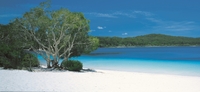 Excursion de 2 jours en 4x4 à l'île Fraser au départ de Brisbane Ou de la Côte d'Or