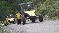 Ketchikan Shore Excursion: Off-Road Adventure Tour